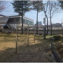 망골경로당 네이버블로그