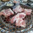 돼지영농후계자 이미지