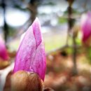 장주기요셉의집 이미지