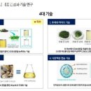 더케어시스템 이미지