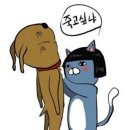 아마스빈버블티 이미지