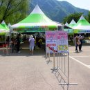 정선산나물 - 정선군 고한7길 5-37 | 정선산나물