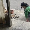 그카페 이미지