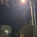 분당-13 | 수내헬스장 추천 글보다 더 솔직한, 쥬비스 분당 13KG 감량 후기/고도비만 다이어트