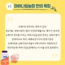 마하나임농장 이미지