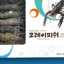 서진씨푸드 네이버블로그