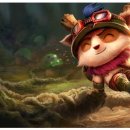 티모 이미지