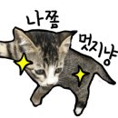 대전한우명가 이미지