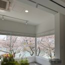 석촌호수로 네이버블로그