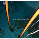 주식회사 에스디 이미지