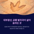 광산구-031 | 대부광산퇴적암층, 7천만 년 전 지구의 이야기를 걷다