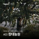 창대농장 이미지