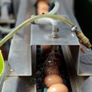 흘미농장 이미지