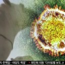 구리속편한내과 조선일보