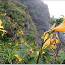 산수리 마을회관 이미지