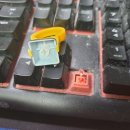 수원-0036 이미지