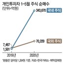 주식자금 리쇼어링…`동학개미` 34조 순매수 이미지