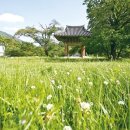 용추자연휴양림 이미지