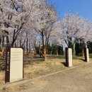 해찬솔공원 네이버블로그