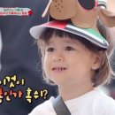 크로커다일레이디대전 이미지