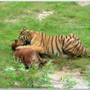 계림산장 이미지