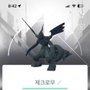 글로벌 리더 체육관 | [포켓몬고]포고일상-칼로스로의길 다섯째날 후기&amp;정산,큐레무로치,79 렙업!!