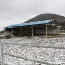 라온목장 이미지