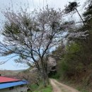 초방리농장 이미지