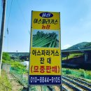 아스파라거스 묘종 판매 노지재배 노지월동 텃밭재배 판매 이미지