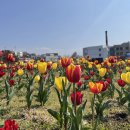 또와해장국 - 당진시 | 또와해장국