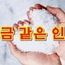 좋은사람 좋은소금 이미지