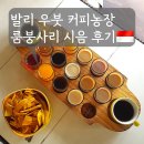 사리농장 | 발리 루왁커피 체험 우붓 커피농장 룸붕사리 시음 후기 (가격 포함)