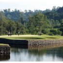 CLUB S 골프클럽 이미지