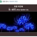 하이 PC방 인천구월본점 | 맛도리 4주차 일상: 노력하니 안되는게 없더라