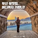 [트래블리더 14기] 부산 뷰맛집, 어디까지 가봤니? (흰여울문화마을 / 산복도로 / 황령산)