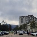 로템나무펜션