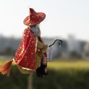 수아비 Daum카페