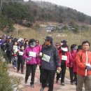 울산시민공원 Daum카페