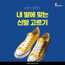 레푸스두류점