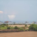 전원초밥 이미지