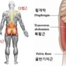 짐투투 헬스&PT 송도점 네이버블로그