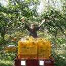 재광농장 이미지