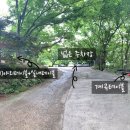 새감나무집식당 이미지