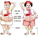미즈앤미의원 Daum카페