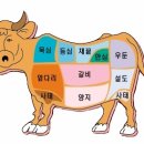 소한마리 이미지