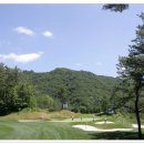 용평 버치힐골프클럽 이미지