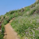 삼양카인테리어 이미지