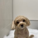 편한미용 이미지