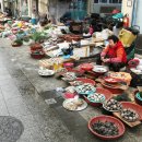 진교공설시장 이미지