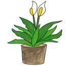 태백산식당·튀김 이미지